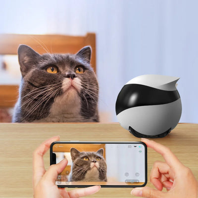Remote Camera Robot - EverydayGoodies
