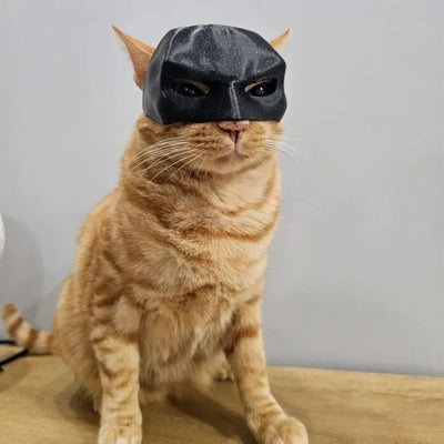 Cat Bat Mask - EverydayGoodies
