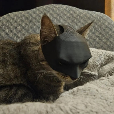 Cat Bat Mask - EverydayGoodies