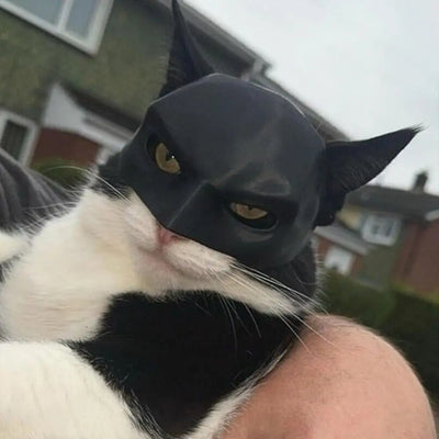 Cat Bat Mask - EverydayGoodies