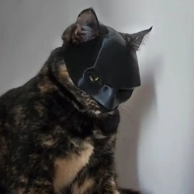Cat Bat Mask - EverydayGoodies